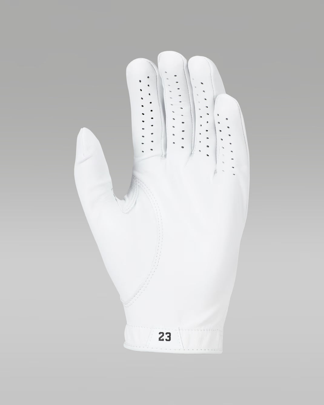 Jordan Tour Regular Golf Glove