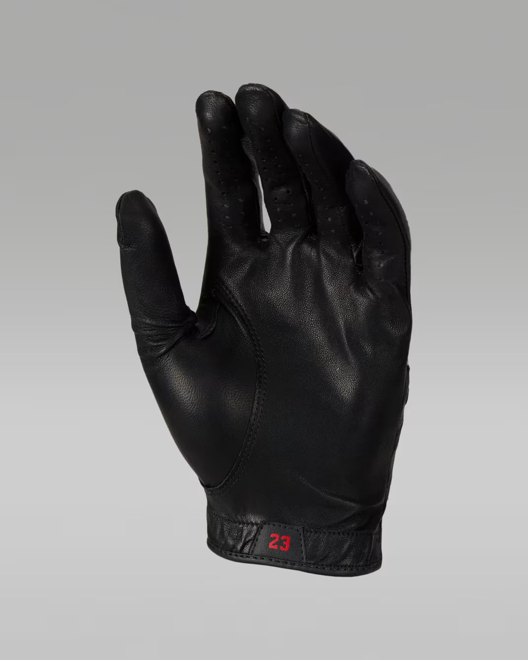 Jordan Tour Regular Golf Glove