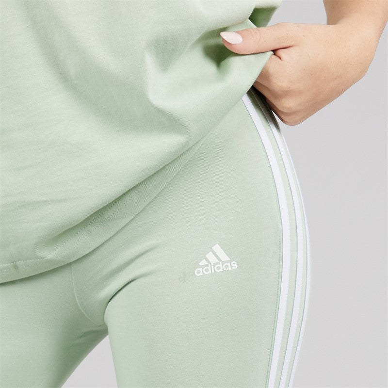 Adidas Leggings Womens Leggings  adidas Women